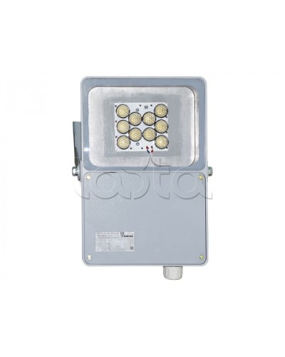 Прожектор светодиодный Forteza ФОСФОР-40/20-А (металл) в Махачкале Аксессуары для средств охраны периметра Pintop.ru