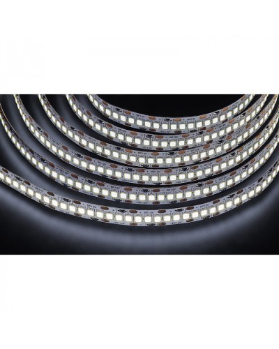 Лента светодиодная Navigator 14 459 NLS-2835CW240-24-IP20-12V в Махачкале Источники света(Лампы) Pintop.ru