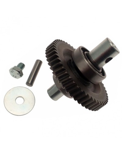 Шестерня редуктора FAST в сборе Came 119RID229 в Махачкале Запчасти для шлагбаумов и автоматики Pintop.ru