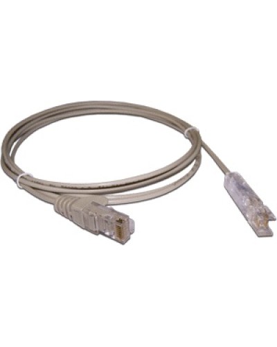 Патч-корд 110 тип - RJ45, 1 пара, UTP, 2 м LANMASTER LAN-45-P1-2m в Махачкале Патч-корды и пигтейлы Pintop.ru
