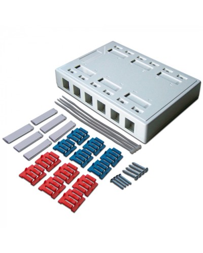 Коробка настенная на 12 кейстоунов, белая LANMASTER (LAN-MB-12K-WH) в Махачкале Распределительные коробки Pintop.ru