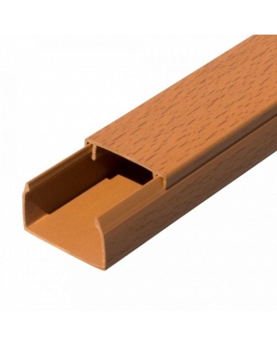 Кабель-канал бук 2-й замок в п/э 40х25 (24 м/уп) Промрукав (PR03.0200) в Махачкале Огнестойкие кабельные линии Pintop.ru