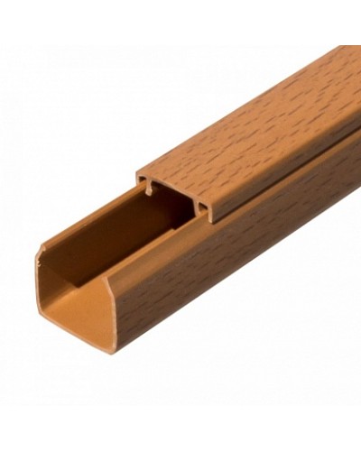 Кабель-канал бук 2-й замок в п/э 25х25 (32 м/уп) Промрукав (PR03.0198) в Махачкале Огнестойкие кабельные линии Pintop.ru