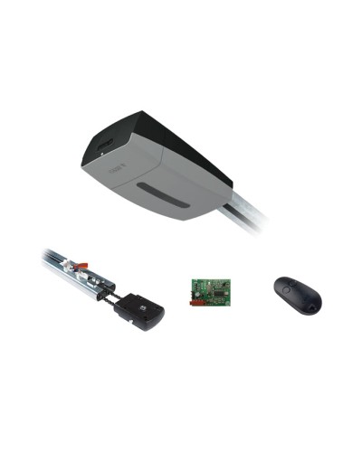 Came V10DMS3.25 KIT (до 3,25 м до 18 м2) - Комплект автоматики для секционных ворот высотой до 2,7 м на основе привода VER10DMS в Махачкале Автоматизация ворот Pintop.ru