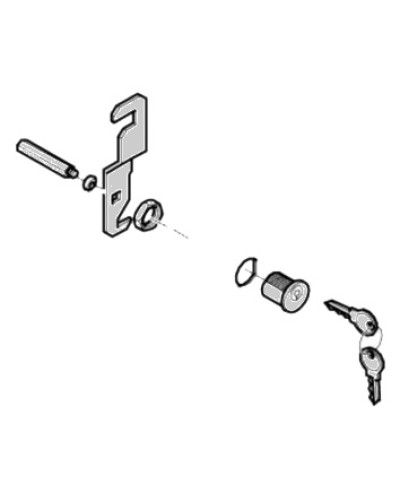 Замок дверцы G4040 G4041 Came 119RIG176 в Махачкале Запчасти для шлагбаумов и автоматики Pintop.ru