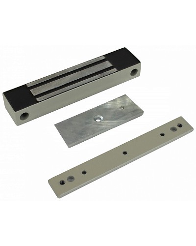 Электромагнитный влагозащищенный замок AccordTec ML-100K с планкой в Махачкале Дополнительное оборудование для СКУД Pintop.ru