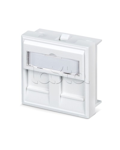 Вставка 45x45 (аналог Mosaic) для 2 модулей формата Keystone Jack Cabeus FP-45-2M в Махачкале Модули Keystone Pintop.ru