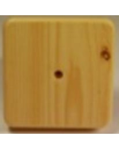 Коробка распаячная, с винтом, 100x100x20 (50 шт/уп) ПожТехКабель 030-009 в Махачкале Распределительные коробки Pintop.ru