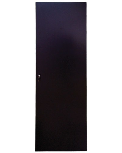 Дверь задняя для шкафов серии Business металл, 42U, ширина 800 мм TWT TWT-CBB-DRM1-42U-8 в Махачкале Аксессуары для стоек и шкафов Pintop.ru