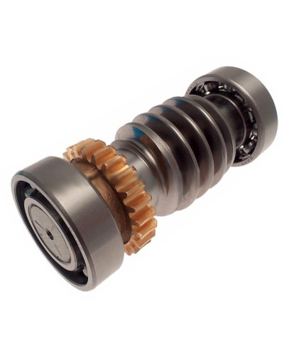 Червяк FROG Came 119RIA016 в Махачкале Запчасти для шлагбаумов и автоматики Pintop.ru