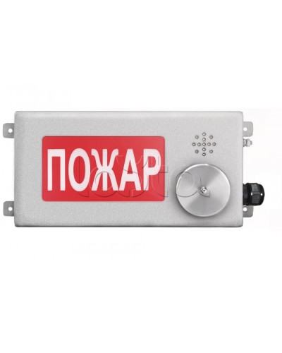 Табло светозвуковое взрывозащищенное Спектрон ТСЗВ-Exm-Н-Прометей-МИНИ 220В в Махачкале Оповещатели Ex Pintop.ru