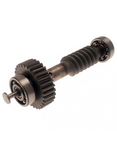 Червяк редуктора FAST в сборе Came 119RID228 в Махачкале Запчасти для шлагбаумов и автоматики Pintop.ru