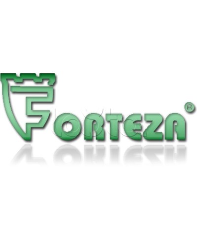 Плата сменная Forteza Плата БГр-4 в Махачкале Устройства защиты операционных процессоров (ОПС) Pintop.ru