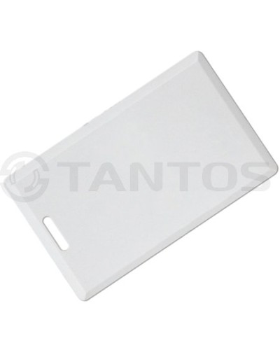 Карта толстая формата Temic Tantos Temic (толстая) TS в Махачкале Оптовые идентификаторы Pintop.ru