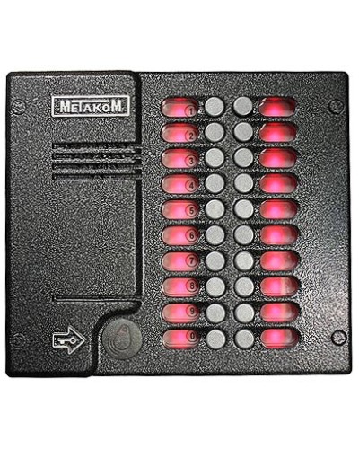 Блок вызова домофона Метаком MK20.2-RFEV в Махачкале Вызывные видеопанели малоабонентные Pintop.ru