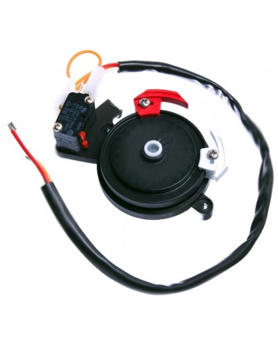 Концевые микровыключатели в сборе BX-243 Came 119RIBX041 в Махачкале Запчасти для шлагбаумов и автоматики Pintop.ru