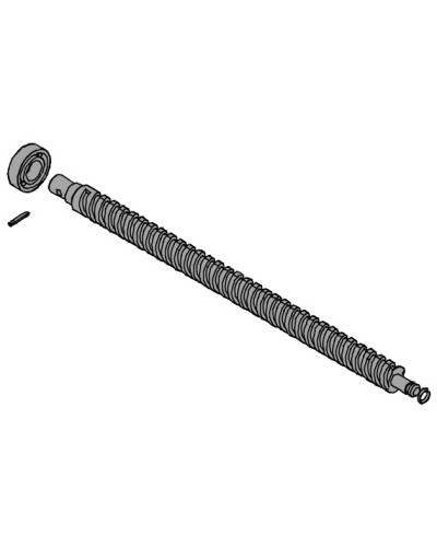 Винт ходовой AX302304, AX3024, АХ402306, AX412306 Came 119RID319 в Махачкале Запчасти для шлагбаумов и автоматики Pintop.ru