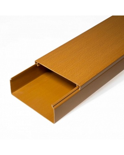 Кабель-канал бук 2-й замок в п/э 100х40 (8 м/уп) Промрукав (PR03.0206) в Махачкале Огнестойкие кабельные линии Pintop.ru