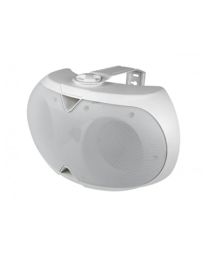 Громкоговоритель настенный 2-х полосный VOLTA ELLIPSE-2440TW в Махачкале Система оповещения и трансляции Volta Pintop.ru