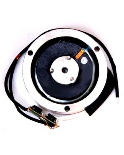 Электромагнит BY1500T Came 119RIY034 в Махачкале Запчасти для шлагбаумов и автоматики Pintop.ru