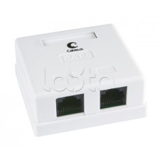Розетка компьютерная RJ-45(8P8C), категория 6, двойная, внешняя, Krone type Cabeus WS-8P8C-Cat.6-2