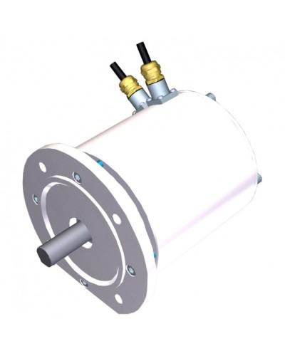 Электродвигатель FROG-MS Came 119RIA081 в Махачкале Запчасти для шлагбаумов и автоматики Pintop.ru