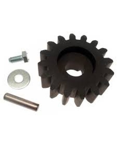 Шестерня для цепной передачи Came 119RIBK036 в Махачкале Запчасти для шлагбаумов и автоматики Pintop.ru