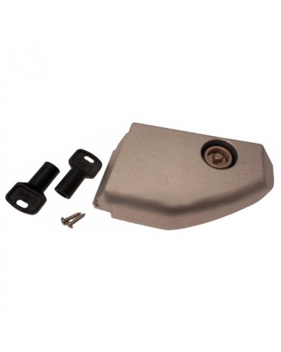 Дверца разблокировки с замком BX Came 119RIBX008 в Махачкале Запчасти для шлагбаумов и автоматики Pintop.ru