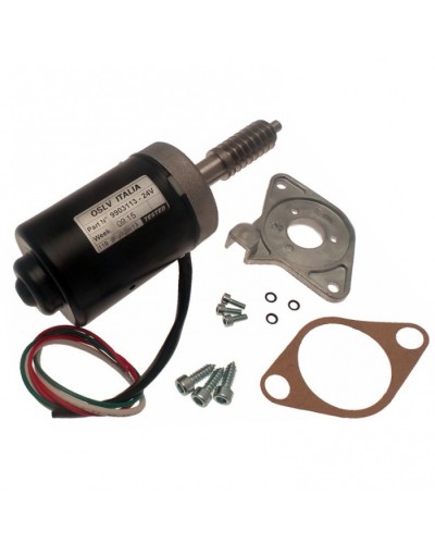 Электродвигатель BX-243 в сборе Came 119RIBX046 в Махачкале Запчасти для шлагбаумов и автоматики Pintop.ru