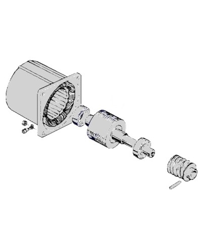 Электродвигатель С-100 Came 119RIC052 в Махачкале Запчасти для шлагбаумов и автоматики Pintop.ru