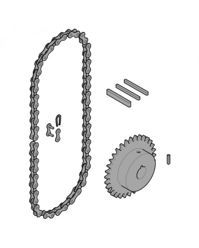 Передающая система (цепь и звездочки) C005 Came 119RICX016 в Махачкале Запчасти для шлагбаумов и автоматики Pintop.ru