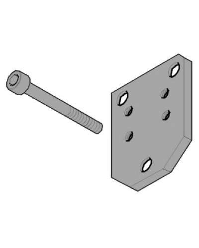 Пластина монтажная FLEX Came 119RID143 в Махачкале Запчасти для шлагбаумов и автоматики Pintop.ru