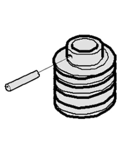 Червяк G2500 Came 119RIG094 в Махачкале Запчасти для шлагбаумов и автоматики Pintop.ru