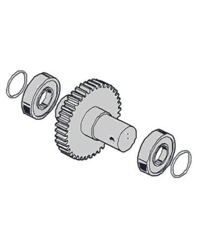 Моторедуктор G2081 G2081I Came 119RIG197 в Махачкале Запчасти для шлагбаумов и автоматики Pintop.ru