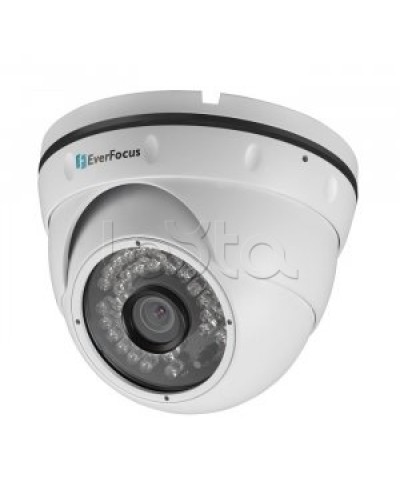 IP-камера видеонаблюдения купольная EverFocus ACE-IAV30 в Махачкале IP-камеры Pintop.ru
