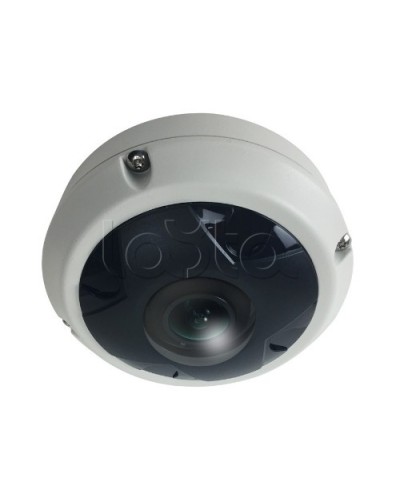 IP-камера видеонаблюдения купольная EverFocus ACE-KU89F в Махачкале IP-камеры Pintop.ru