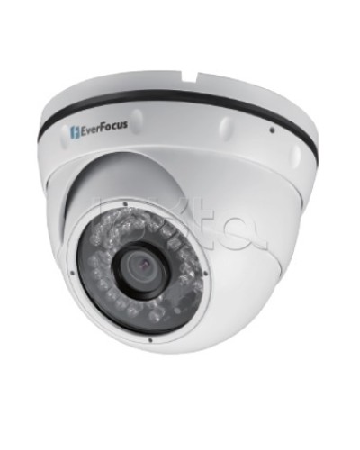 IP-камера видеонаблюдения уличная купольная EverFocus EBN-268 в Махачкале IP-камеры Pintop.ru
