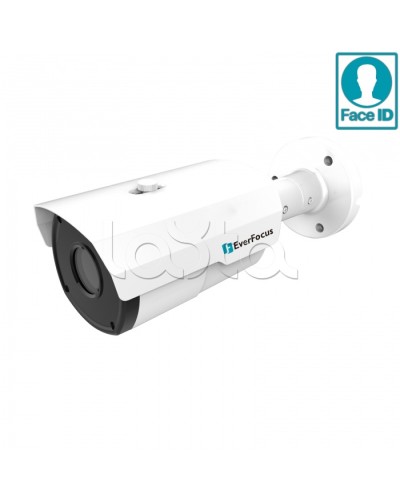 IP-камера видеонаблюдения в стандартном исполнении EverFocus EZN-2850 в Махачкале IP-камеры Pintop.ru