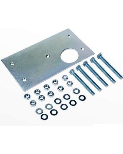 Пластина монтажная с анкерами для приводов 746, 844 серий Faac 737816 в Махачкале Запчасти для шлагбаумов и автоматики Pintop.ru