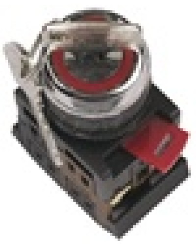 Переключатель AKS-22 с ключом на 2 фиксир.положения I-O 1з+1р черный IEK BSW10-AKS-2-K02 в Махачкале Аксессуары для стоек и шкафов Pintop.ru