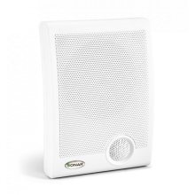 Громкоговоритель настенный Sonar SWP-110-105