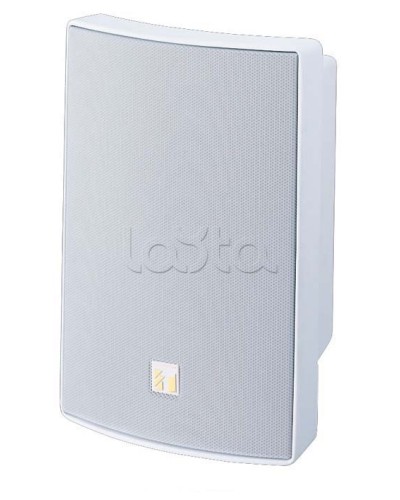 Громкоговоритель универсальный двухполосный TOA BS-1030W в Махачкале Системы оповещения и трансляции TOA Pintop.ru