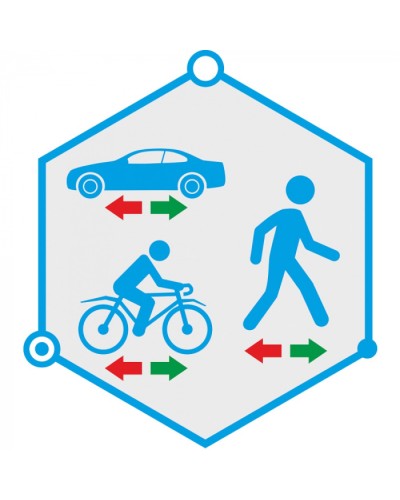 ПО детектор движения в запрещенном направлении TRASSIR Direction Detector в Махачкале Системы видеонаблюдения Pintop.ru
