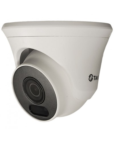Видеокамера в купольном исполнении уличная Tantos TSc-Ee2FN в Махачкале Системы видеонаблюдения Pintop.ru