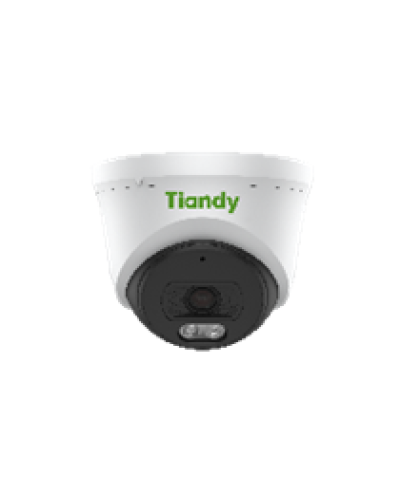 Уличная купольная IP-камера Tiandy AK TC-C320N Spec:I3/E/Y/2.8mm в Махачкале IP-камеры Pintop.ru