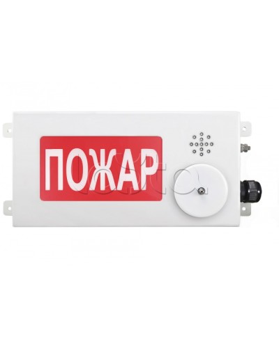 Табло светозвуковое взрывозащищенное Спектрон ТСЗВ-Exm-М-Прометей-МИНИ 220В в Махачкале Оповещатели Ex Pintop.ru