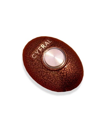 Кнопка открывания двери Цифрал КОДсП-4 в Махачкале Многоабонентные устройства Pintop.ru