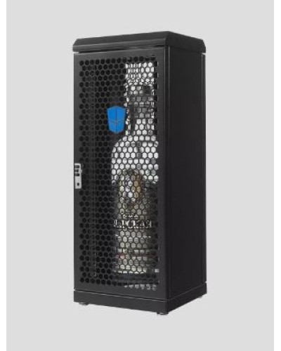 Шкаф серверный сувенирный ЦМО (ШТК-СП-С-8.1.1-9005) в Махачкале Аксессуары для стоек и шкафов Pintop.ru