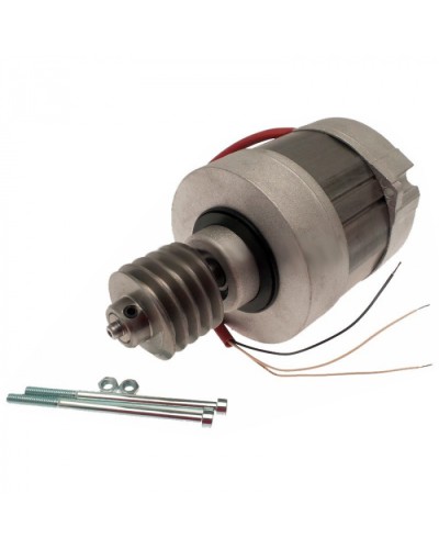 Электродвигатель BX-A, BX-74 в сборе Came 119RIBX016 в Махачкале Запчасти для шлагбаумов и автоматики Pintop.ru