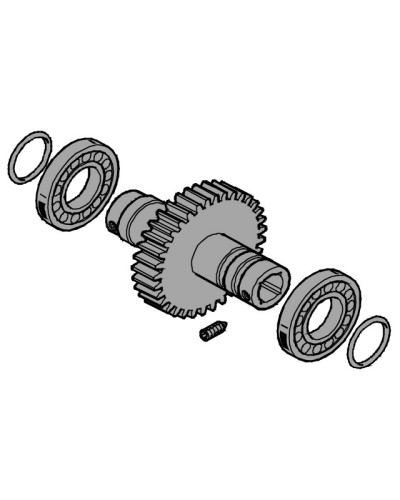 Вал выходной EMEGA Came 119RIE062 в Махачкале Запчасти для шлагбаумов и автоматики Pintop.ru